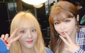Ikut Senang Hingga Terharu, Sandara Park Beri Dukungan untuk Comeback Park Bom