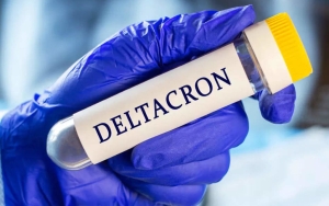 Varian DeltaCron: Satgas Tunggu WHO Umumkan Karakteristik Secara Resmi, Belum Terdeteksi di RI