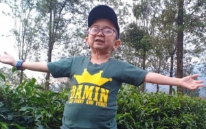 Daus Mini Bebas dari Kasus Rotator Mobil dan Pelat Bodong, Cuma Dikenai Sanksi Ini