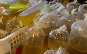 Pemerintah Beri Subsidi Terhadap Minyak Goreng Curah, Tapi Malah Langka Di Pasar?