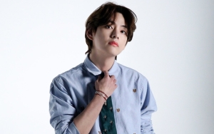 V BTS Turun Tangan Akhiri Perdebatan Sengit Tim Beruang vs Harimau Pakai Cara Ini