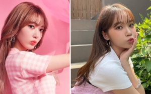 Agensi Baru Miyawaki Sakura dan Kim Chaewon Rilis Hitungan Mundur Misterius