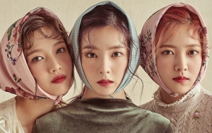 Pramugari Ini Sebut Irene-Yeri dan Joy Beri Perlakuan Kasar di Pesawat, Netter Ogah Percaya