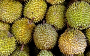 Durian Thailand yang Diekspor ke Tiongkok Mengandung Virus Corona di Kemasan