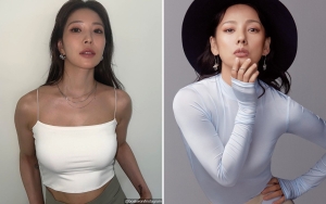 BoA Kenal Tempat Hiburan Dewasa Berkat 'Jasa' Lee Hyori, Kok Bisa?