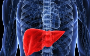 Ancaman Hepatitis Misterius Makin Menjadi, Ridwan Kamil Minta Warga Tenang dan Sudah Siapkan Ini