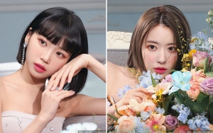 Kim Chaewon LE SSERAFIM Buat Pengakuan Mengejutkan Soal Hubungannya dengan Sakura
