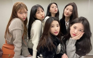 DIA Segera Bubar, Ini 10 Perjalanan Jatuh Bangun Siapkan Comeback Terakhir