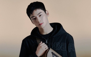 Beda Drastis, Cha Eun Woo ASTRO Punya Cara Tak Sama Post Foto di Instagram dan Twitter