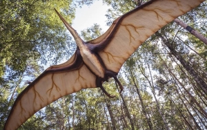 Ilmuwan Temukan Fosil 'Naga Kematian' Terbang Raksasa, Pterosaurus Terbesar di Amerika Selatan?