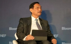 Luhut Resmi Teken Surat Audit Perusahaan Sawit, KLHK Periksa 92 Perusahaan Terkait Kasus Migor  