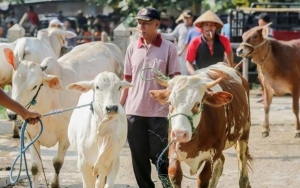 Kemenag Gelar Rukyatul Hilal Idul Adha pada 29 Juni, Bakal Pantau Posisi Bulan di 86 Titik