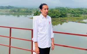 Jokowi Mantap Putuskan Larang Ekspor Timah dan Bauksit, Bikin Saham TINS dan ANTM Anjlok?