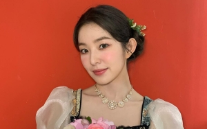 Harga Outfit Irene Red Velvet di Dream Concert, Murah untuk Ukuran Idol Top Visual?