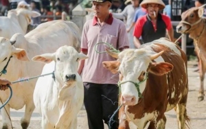 Kemenag Gelar Sidang Isbat Sore Ini Untuk Tentukan Idul Adha 2022