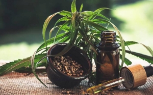 IDI Ikut Riset Manfaat Ganja untuk Keperluan Medis: Jangan Sampai Malah Merugikan Keselamatan