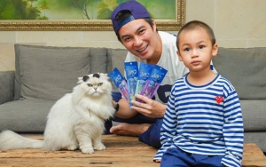 Baim Wong Dandani Kucing Peliharaan Ala Cewek Mamba, Kue, dan Bumi, Mana Paling Gemas?