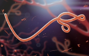 Bukan Virus Ebola Maupun Marburg, Tanzania Laporkan Penyakit Misterius yang Sudah Makan Korban