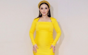 Kasihani Zaskia Gotik, Pengacara Ini Bongkar Rahasia Antara Sirajuddin dan Sang Model