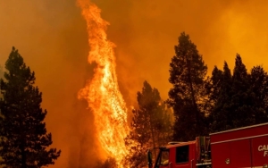 Keadaan Darurat, Perintah Evakuasi Dikeluarkan Saat Kebakaran Hutan Mengamuk di California