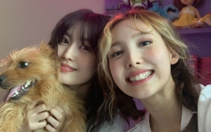 Fans Khawatir Usai Nayeon dan Momo TWICE Nyaris Alami Kecelakaan Mobil