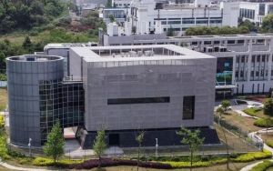 Bukan Kebocoran Laboratorium, Studi Baru Menunjukkan COVID-19 Muncul Dari Ini