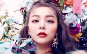 Ailee Putuskan Tinggalkan Agensi Ravi VIXX, Bakal Gabung Label Ini