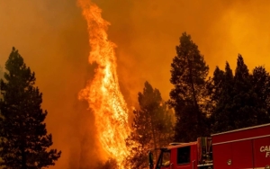 California Alami Kebakaran Hutan Terbesar di Musim Ini Hingga Timbulkan Korban Jiwa