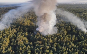 Hutan di Berlin Kebakaran Dipicu Ledakan di Lokasi Pembuangan Bom Perang Dunia II
