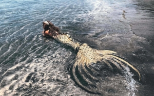 Ada Akademi Pelatihan Jadi Mermaid di Jepang, Minat Daftar?