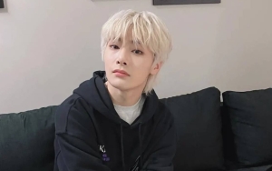 Masuk Idola Populer, Ini Perkiraan Jumlah Kekayaan I.N Stray Kids 