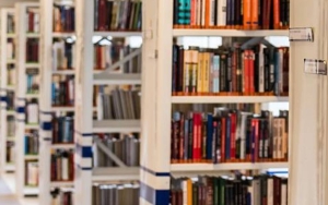 Ada Novel Hingga Alkitab, Pejabat Sekolah Texas Akan Keluarkan 41 Buku dari Perpustakaan