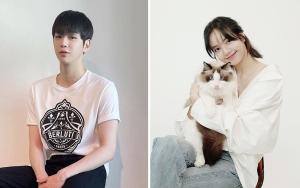Kang Daniel Bangun Area Bermain Kucing, 10 Potret Penampakan Rumah Seleb Yang Pet Friendly