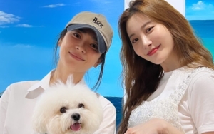 Yura Girl's Day Didukung Manis Song Hye Kyo Saat Pameran, 10 Seleb Korea Terungkap Jago Melukis