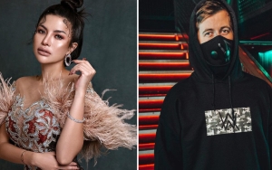 Nikita Mirzani Tampil Seksi, Ekspresi Wajah Alan Walker Bikin Salut