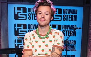 Harry Styles Beri Respons Menohok Usai Dilempar Nugget Ayam Saat Konser