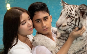 Tiara Andini 'Diserang' Selen Harimau Kesayangan Sang Pacar, Reaksi Alshad Ahmad Manis Banget!