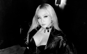 CL Buka Suara Usai Penampilan di Atas Panggung Diganggu Oleh Fans