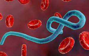 Wabah Ebola Tewaskan Dokter di Uganda