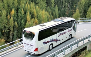 25 Orang Tewas Usai Bus Rombongan Tamu Pengantin Masuk Jurang di India