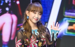 Lucu-lucu, Begini Pesan Balasan Dita Secret Number ke Fans Indonesia di Weverse