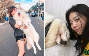 Wendy Walters Berduka Ditinggal Winter Sang Anjing Kesayangan, Intip 10 Potret Kenangan Keduanya