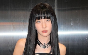 Seulgi Red Velvet Ungkap Rasanya Pakai Lip Ring: Keren Tapi...