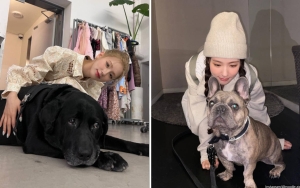 Miyeon (G)I-DLE Hampir Miliki Nama Panggung 'Bajul Ijo', Intip 10 Potret Bestie Dengan Anjing