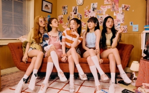 Irene Paling Beda, Konsep Red Velvet di Comeback Mendatang Picu Beragam Teori