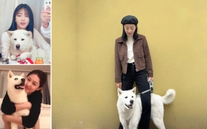 8 Potret Rukun Seol In A dan Anjing Peliharaan Usai Nyalon Bareng