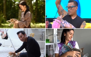 Keisya Levronka Suka Bawa Pulang Kucing Liar, 10 Artis Ini Buktikan Pecinta Hewan yang Sama