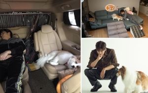 Imej Cool, 11 Potret Sung Hoon Pamer Momen Gemes Bareng Anjing Kesayangan