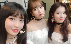 Mina, Sana, dan Momo TWICE Jadi Cover Vogue Japan, Debut Subunit MISAMO di Depan Mata?