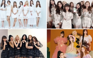 MOMOLAND Resmi Bubar, Intip 9 Potretnya Jatuh Bangun Berkarier Di Dunia Hiburan